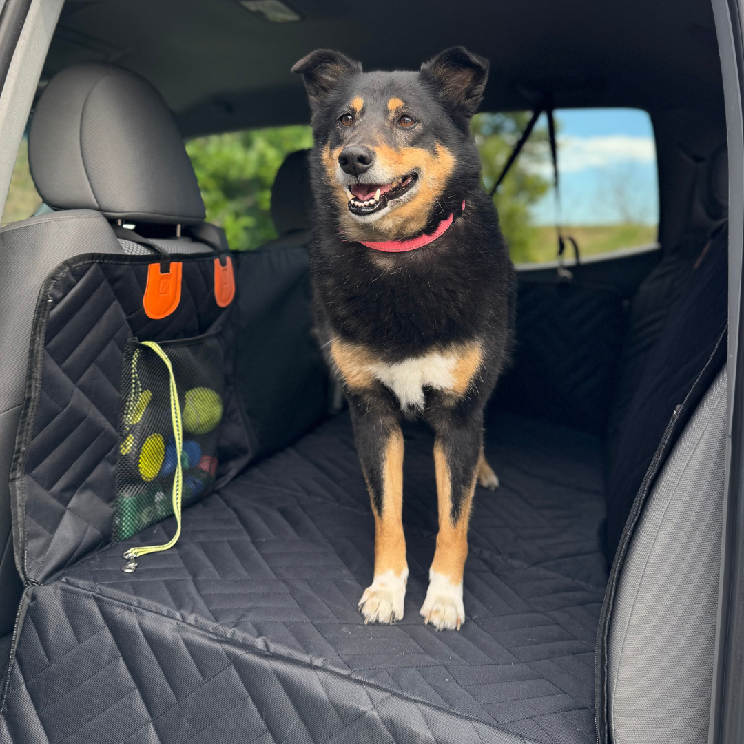A Hard-Bottom, Waterproof Car Seat Extender Made Just for Dogs
