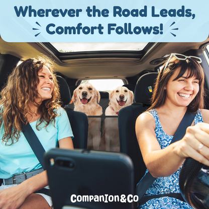 A Hard-Bottom, Waterproof Car Seat Extender Made Just for Dogs